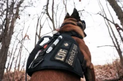 LOF Defence Systems K9 StreetFighter Vest -Tactical Equipment Shop lof defense k9 streetfighter vest4